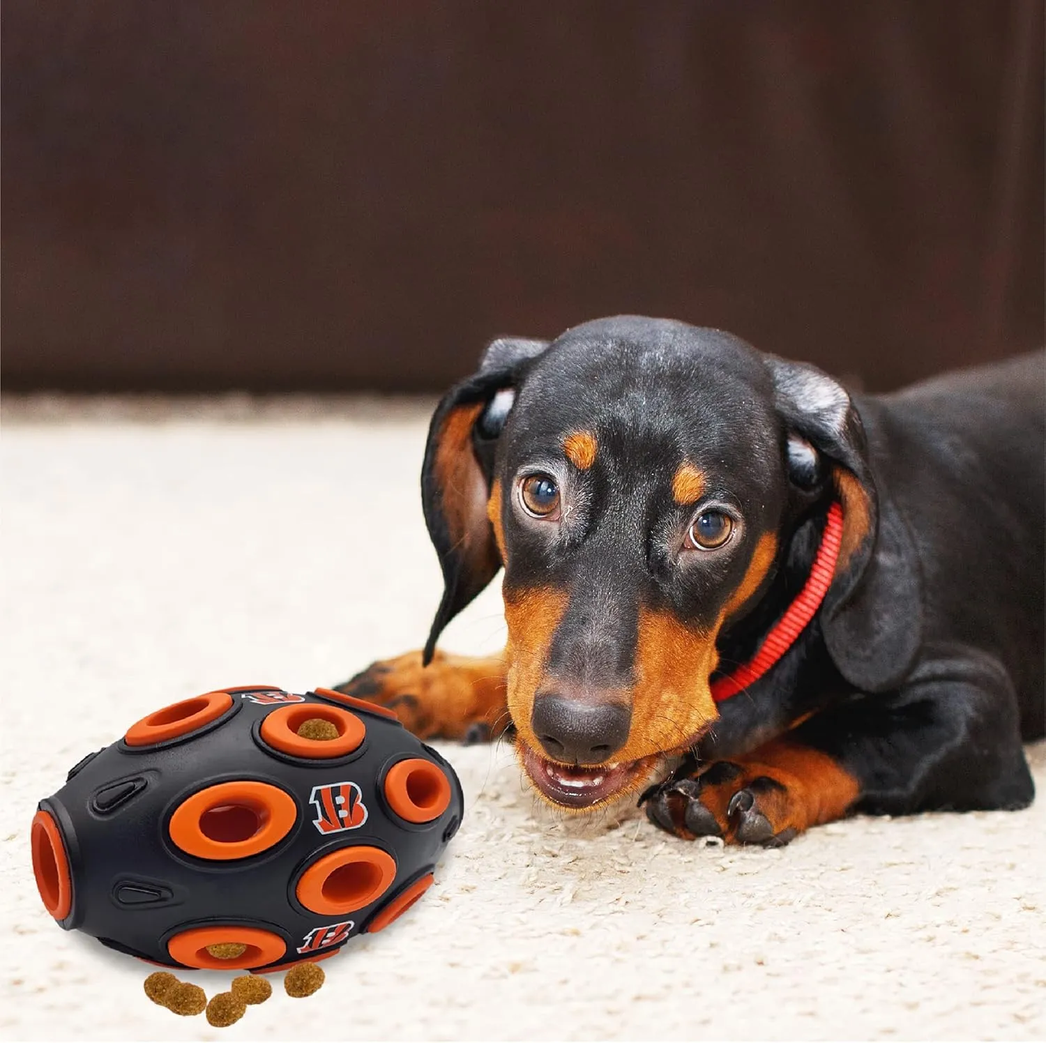 Pets First NFL Cincinnati Bengals Football Treat Dispensing Toy for Dogs and Cats, Rubber Ball Dog Toy, Interactive Fun Dog Treat Toy, Natural Rubber Dog Feeding Toy