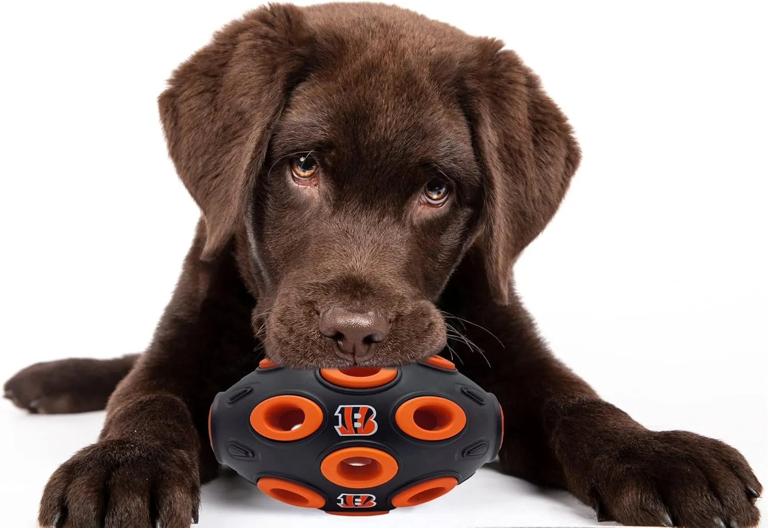 Pets First NFL Cincinnati Bengals Football Treat Dispensing Toy for Dogs and Cats, Rubber Ball Dog Toy, Interactive Fun Dog Treat Toy, Natural Rubber Dog Feeding Toy