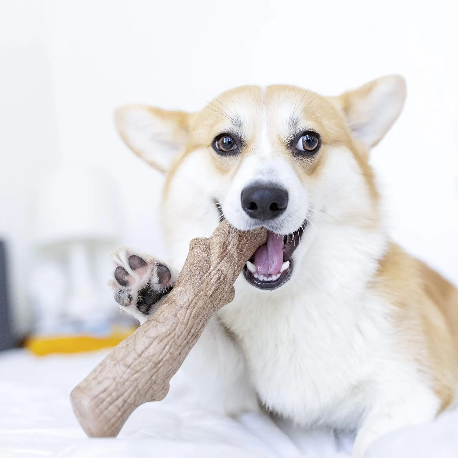 Petstages Dogwood Durable Dog Chew Toy, Large - Long Lasting Chew Stick Made with Real Wood - USA Made, L
