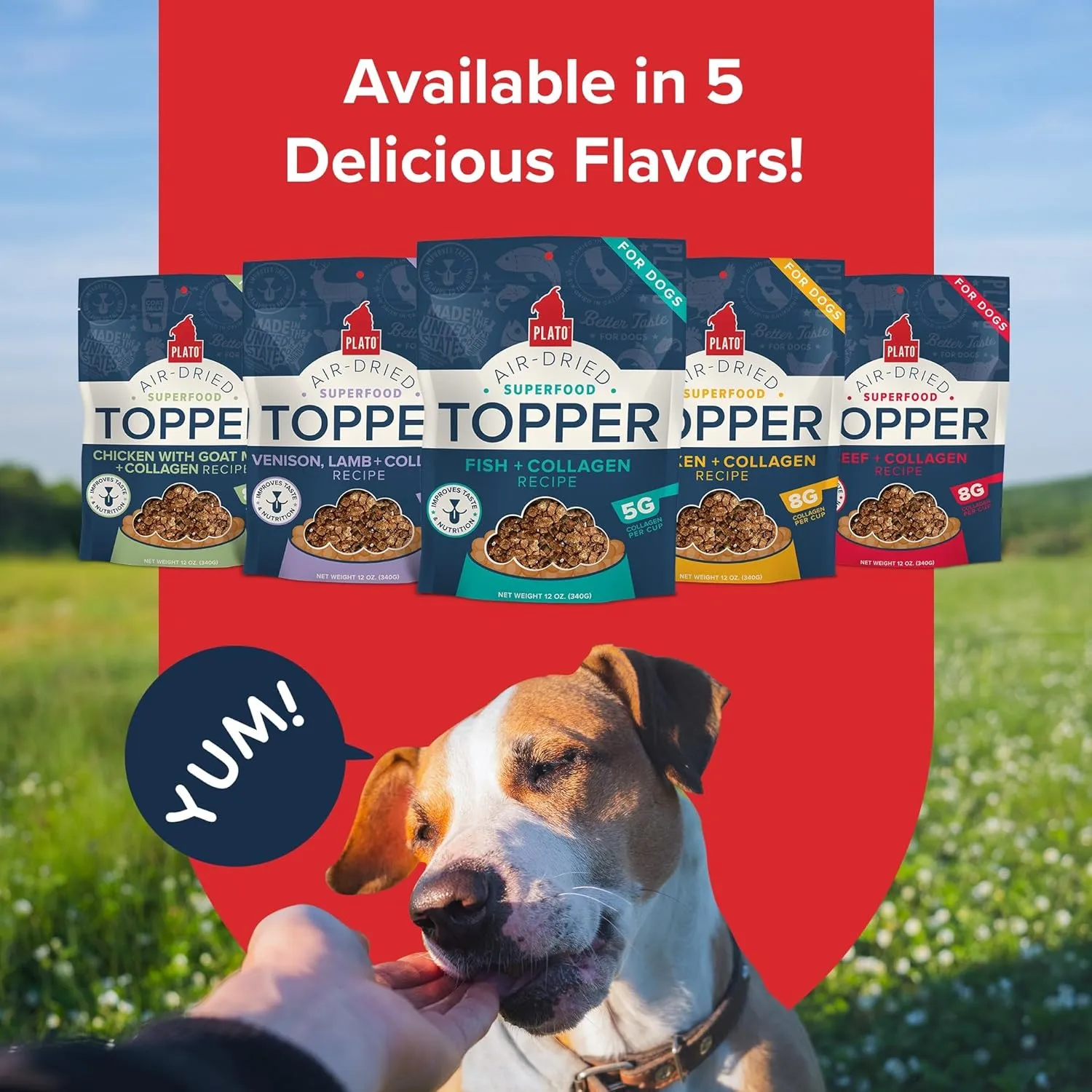 PLATO Pet Treats Dog Food Toppers - Air-Dried Dog Food Toppers for Dry Food - with Collagen to Support Skin and Coat Health - Fish and Collagen Recipe 12oz