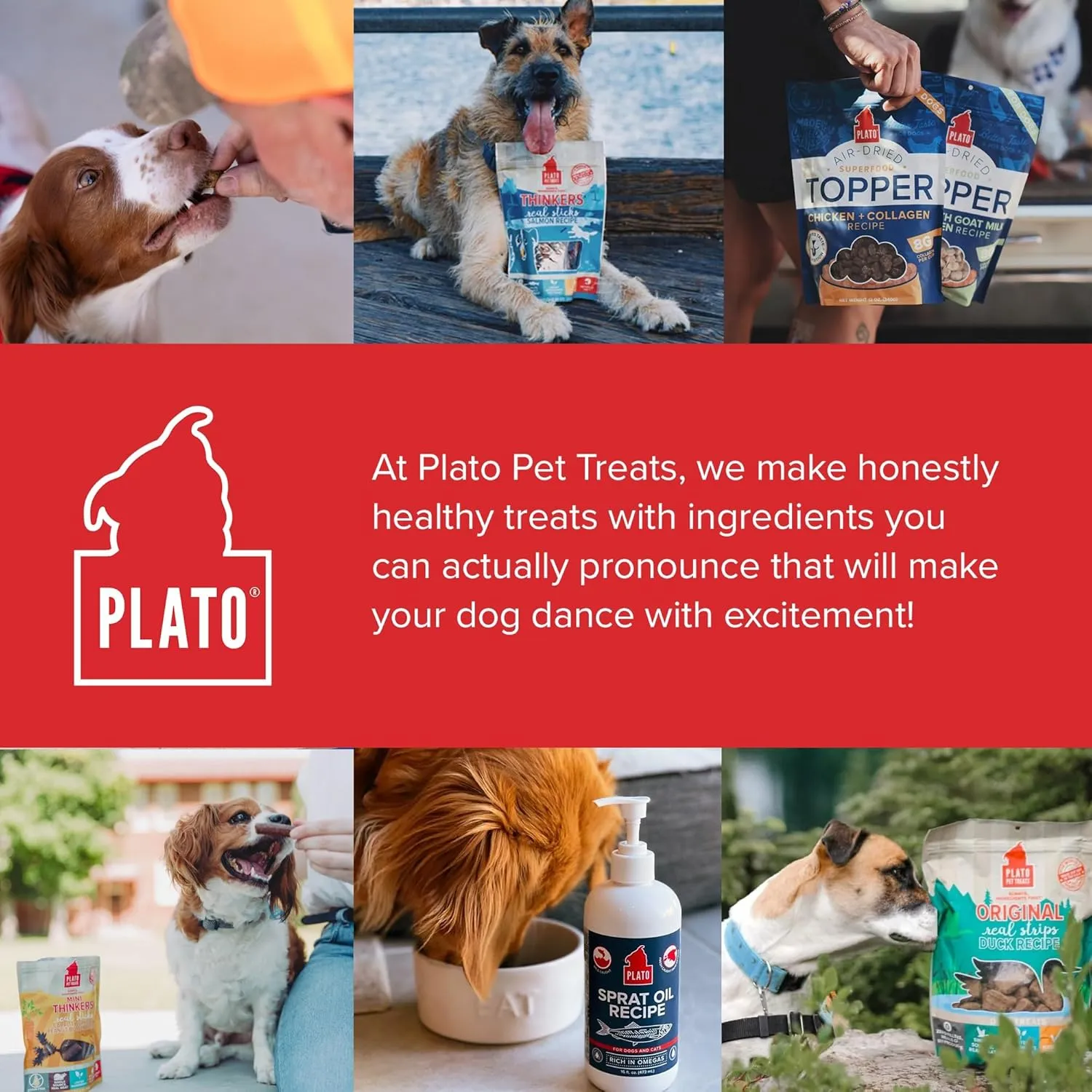 PLATO Pet Treats Dog Food Toppers - Air-Dried Dog Food Toppers for Dry Food - with Collagen to Support Skin and Coat Health - Fish and Collagen Recipe 12oz