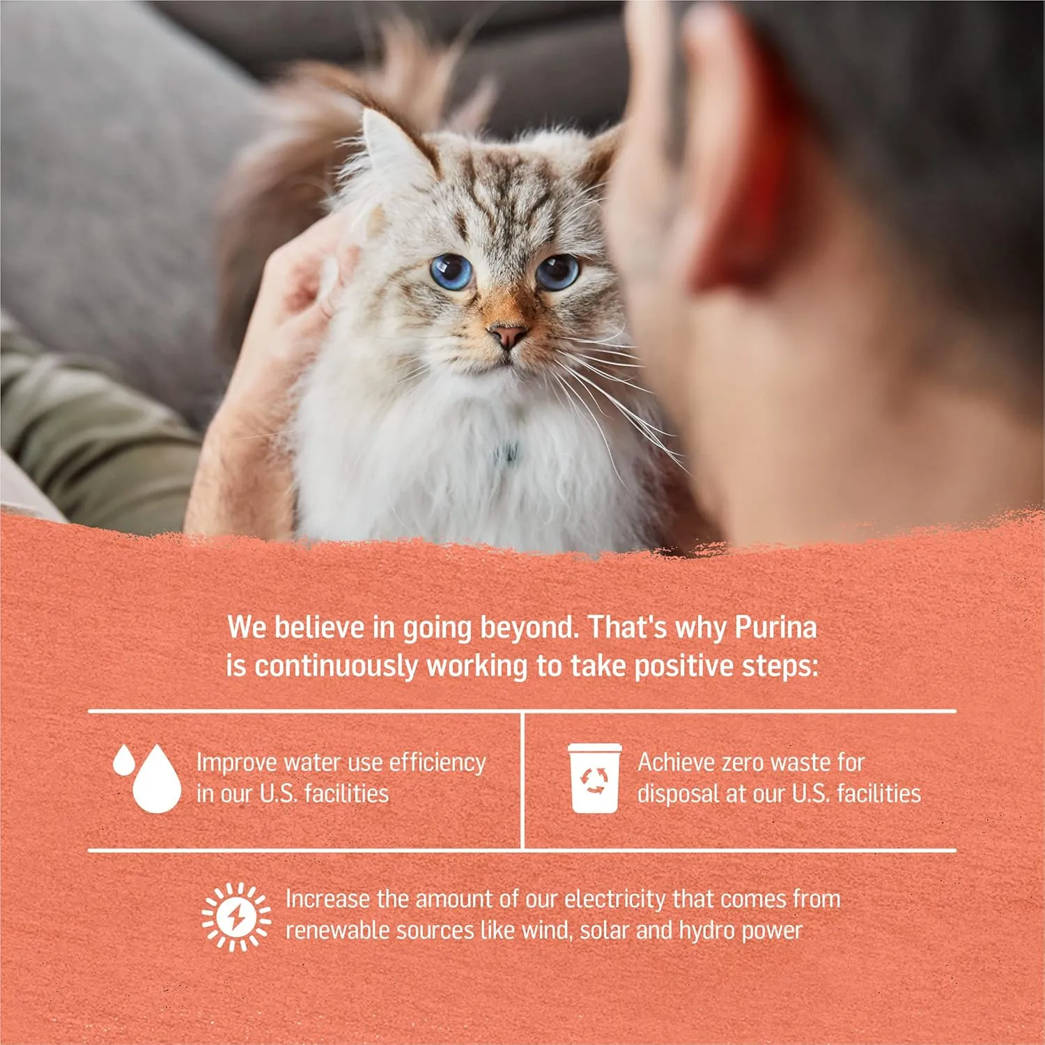 Purina Beyond Wild Alaskan Salmon and Sweet Potato Recipe In Wet Cat Food Gravy - (Pack of 12) 3 Oz. Cans