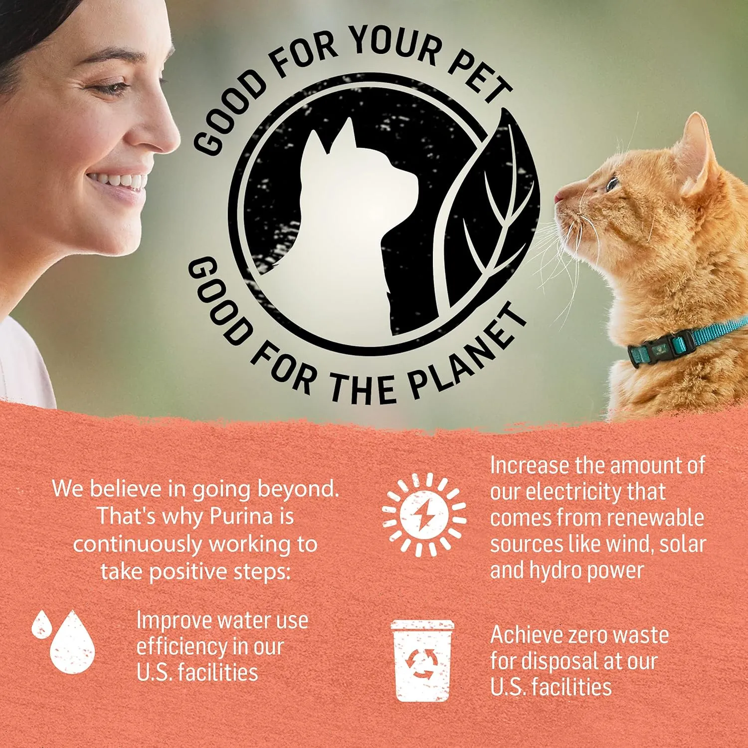 Purina Beyond Wild Alaskan Salmon and Sweet Potato Recipe In Wet Cat Food Gravy - (Pack of 12) 3 Oz. Cans