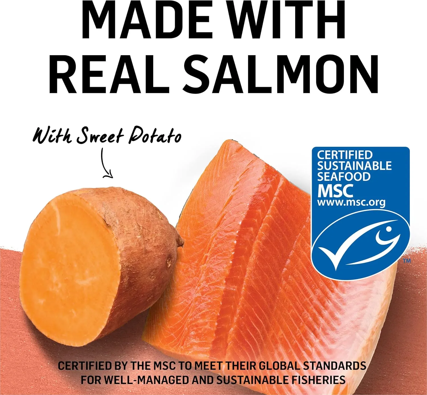 Purina Beyond Wild Alaskan Salmon and Sweet Potato Recipe In Wet Cat Food Gravy - (Pack of 12) 3 Oz. Cans