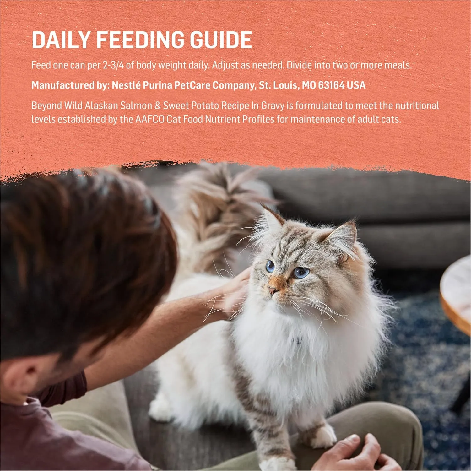 Purina Beyond Wild Alaskan Salmon and Sweet Potato Recipe In Wet Cat Food Gravy - (Pack of 12) 3 Oz. Cans