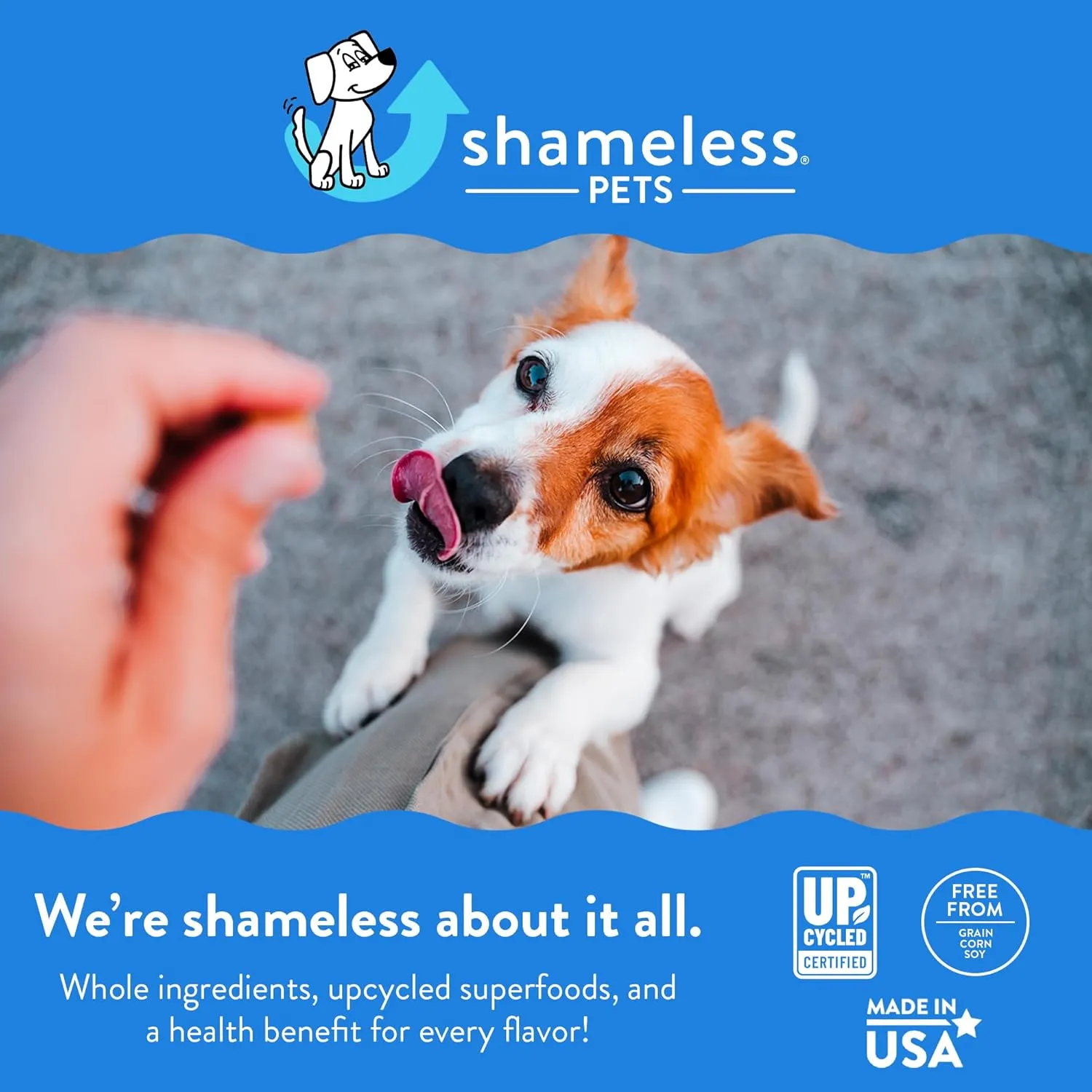 Shameless Pets Soft-Baked Peanut Butter Apeel Dog Treats for Skin & Coat Support with Omega 3 & 6 - USA Baked, Grain, Corn & Soy Free 3-Pack