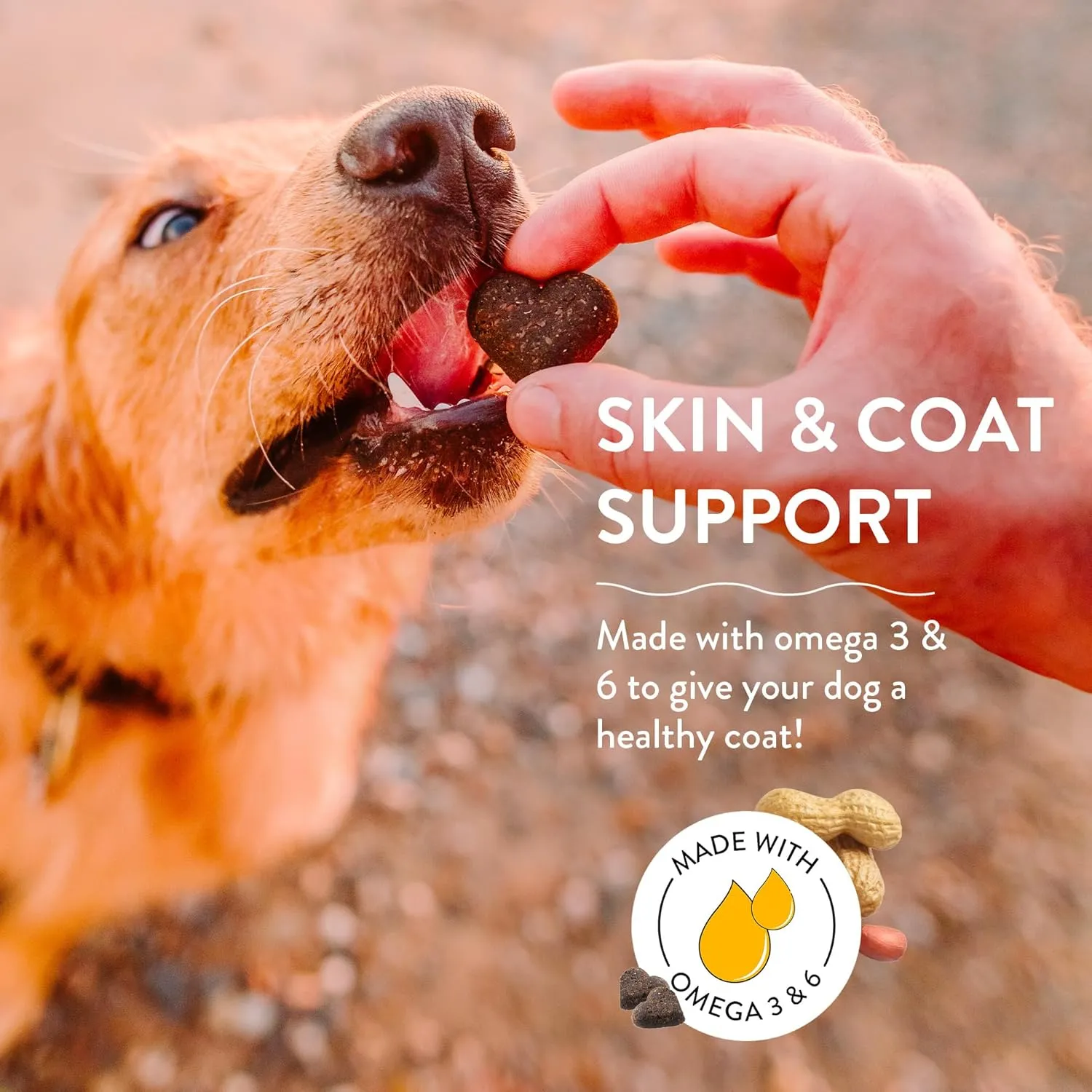 Shameless Pets Soft-Baked Peanut Butter Apeel Dog Treats for Skin & Coat Support with Omega 3 & 6 - USA Baked, Grain, Corn & Soy Free 3-Pack