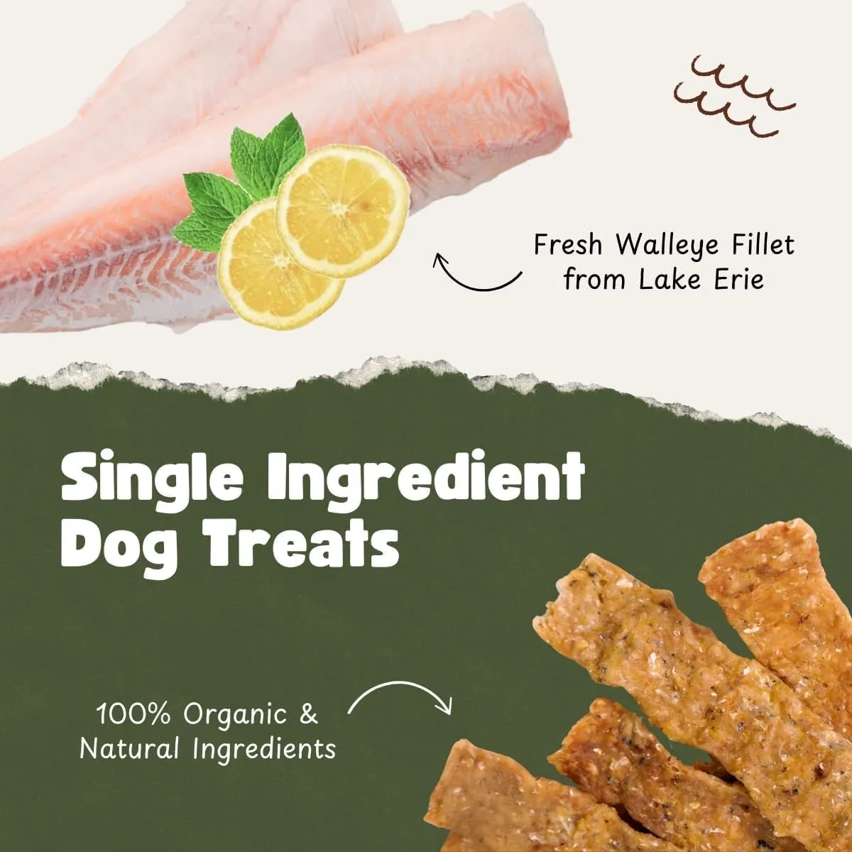 Single Ingredient Dog Treats | Natural Dehydrated Walleye Fish Snacks | Grain-Free High-Protein, Human Grade, No Additive | For Healthy Skin Coat & Dental Care | Dog Training Treats (1LB/16oz Bag)