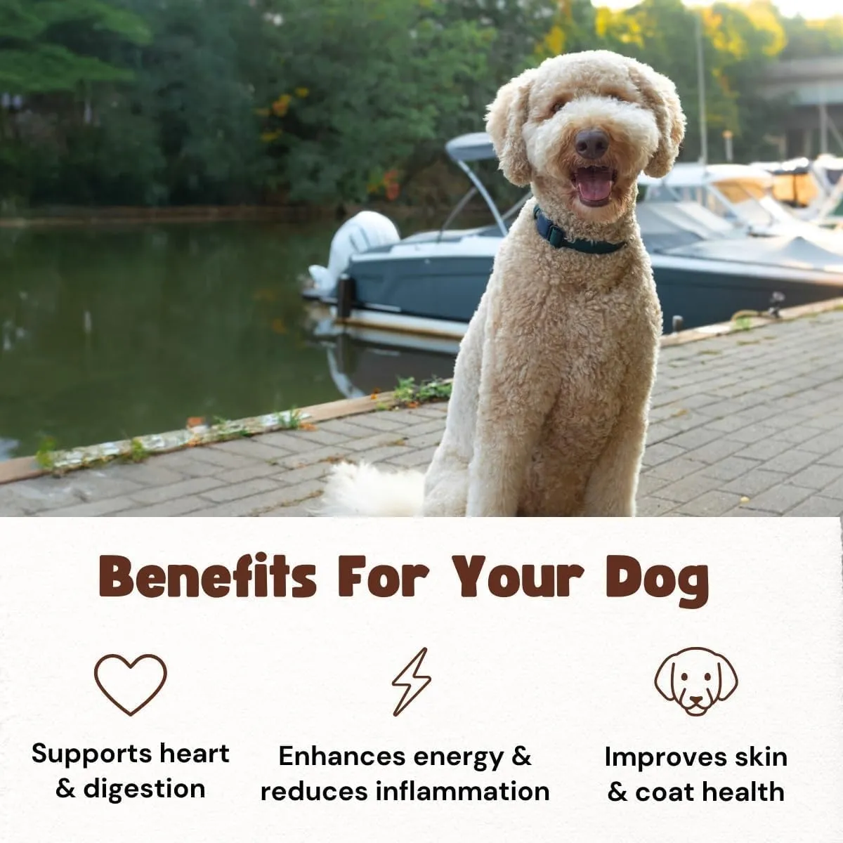 Single Ingredient Dog Treats | Natural Dehydrated Walleye Fish Snacks | Grain-Free High-Protein, Human Grade, No Additive | For Healthy Skin Coat & Dental Care | Dog Training Treats (1LB/16oz Bag)