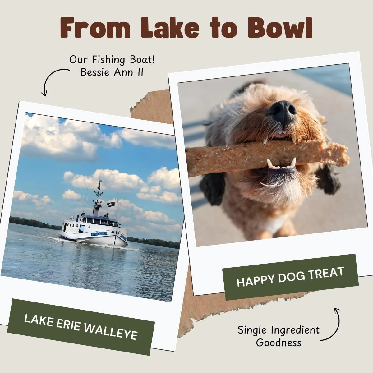Single Ingredient Dog Treats | Natural Dehydrated Walleye Fish Snacks | Grain-Free High-Protein, Human Grade, No Additive | For Healthy Skin Coat & Dental Care | Dog Training Treats (1LB/16oz Bag)