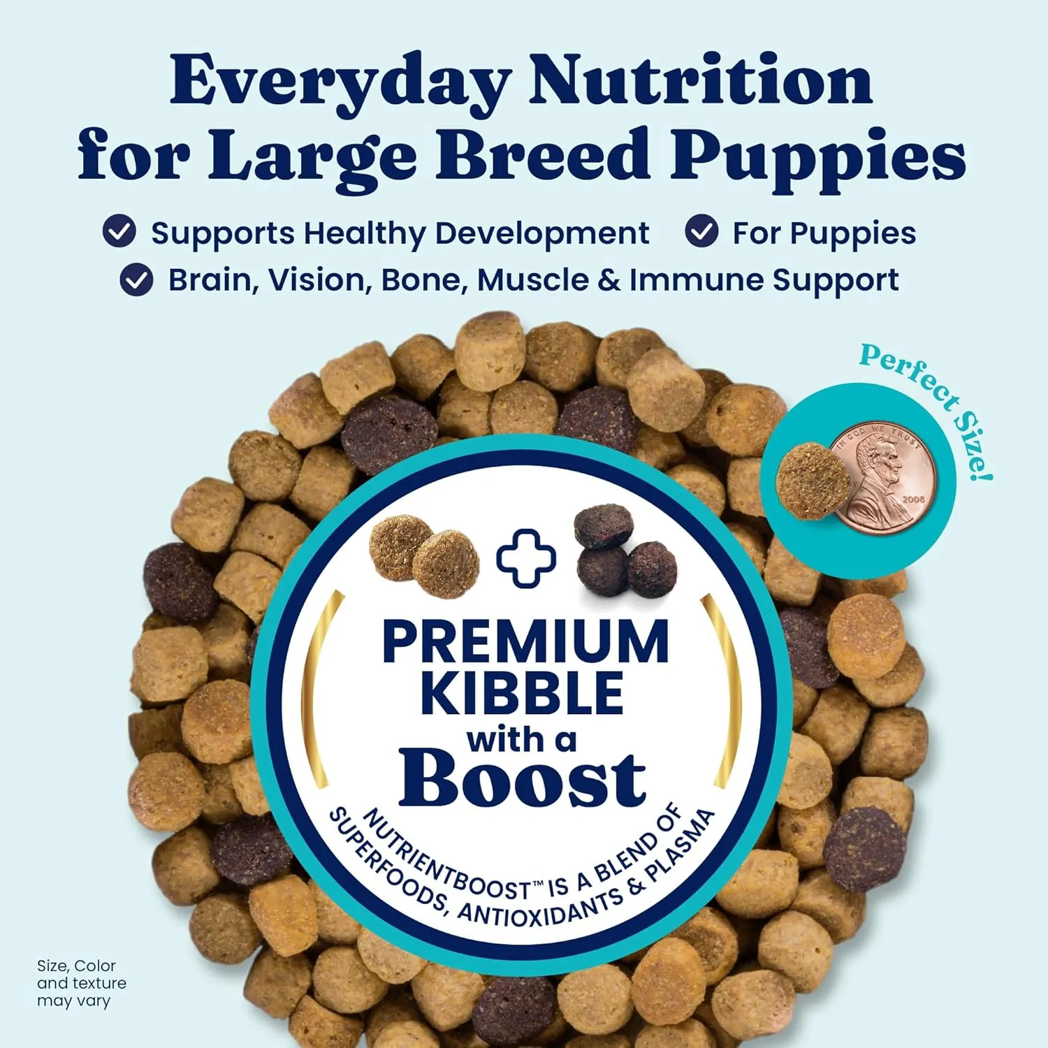 Solid Gold Large Breed Puppy Dog Food Dry Kibble - High Protein Dry Puppy Food for Large Breed Dogs w/Real Bison, Healthy Whole Grain & Probiotics for Gut Health & Digestion - Nutrientboost - 22 LB