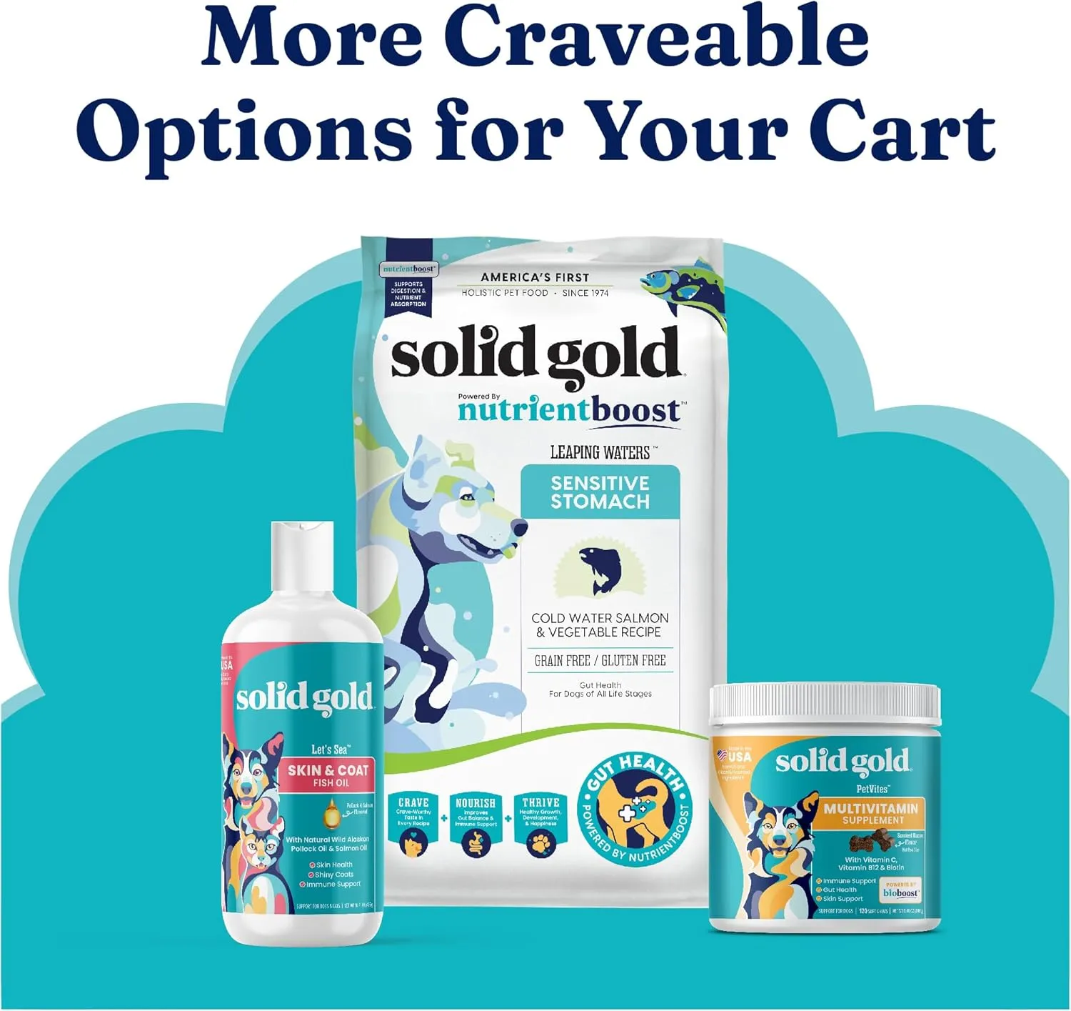 Solid Gold Wet Dog Food Variety Pack for Picky Eaters - Fit & Fabulous Chicken   Leaping Waters Chicken & Salmon Grain Free Canned Dog Food - Made with Real Protein for Sensitive Stomachs - 6 Pack