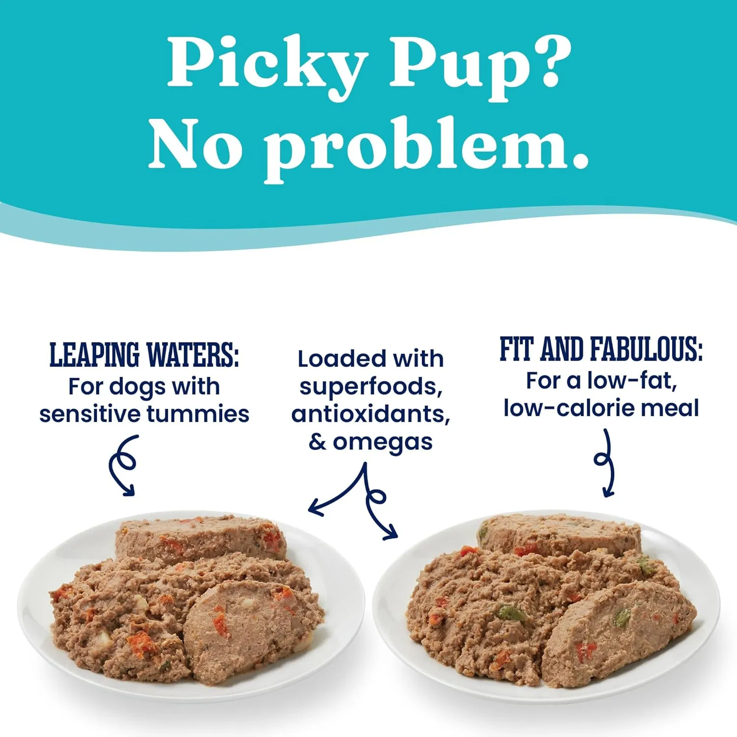 Solid Gold Wet Dog Food Variety Pack for Picky Eaters - Fit & Fabulous Chicken   Leaping Waters Chicken & Salmon Grain Free Canned Dog Food - Made with Real Protein for Sensitive Stomachs - 6 Pack