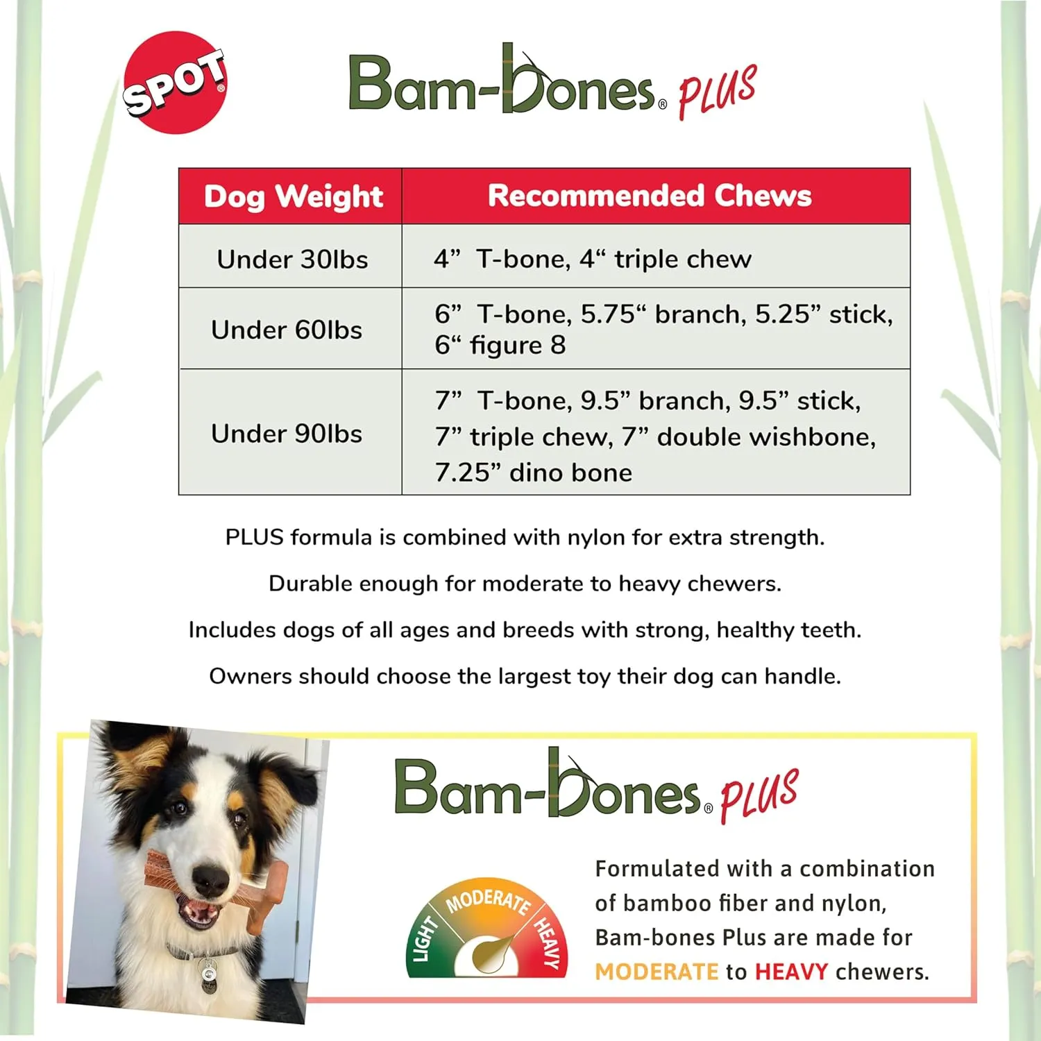 SPOT Bam-Bones Plus T-Bone, Bamboo Fiber & Nylon Dog Chew, Durable for Aggressive Chewers, Non-Splintering, for Adult Dogs & Teething Puppies Under 60lbs, 6in, Chicken Flavor