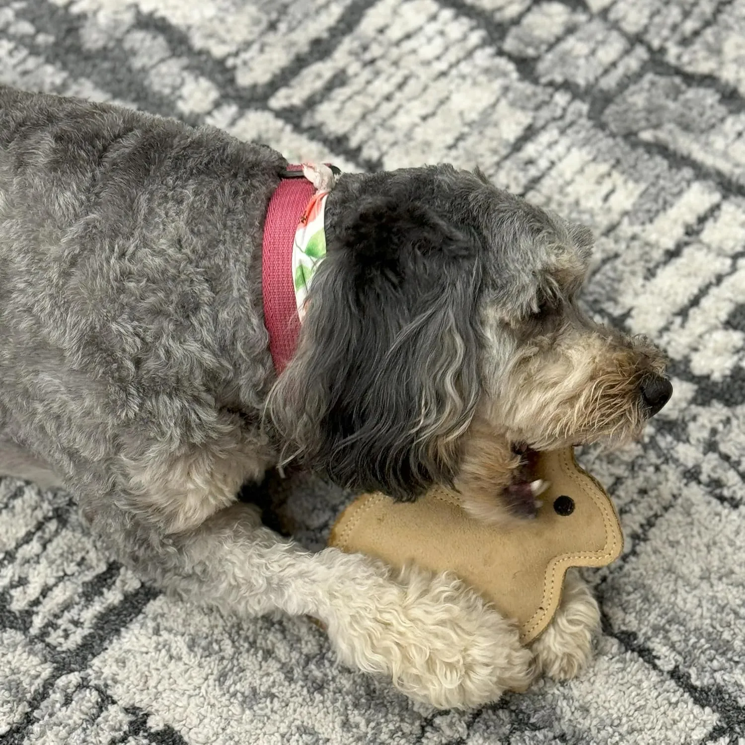 SPOT Dura-Fused Leather Rabbit Dog Toy  Real Leather & Jute, Double-Stitched, Durable Squeaky Chew Toy for Moderate Chewers, Small & Medium Dogs, 7.5in