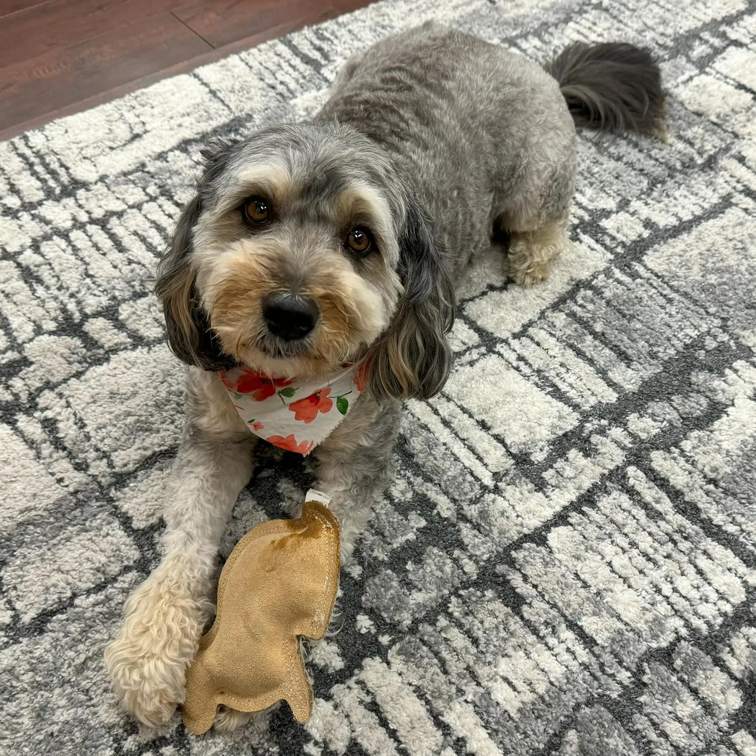 SPOT Dura-Fused Leather Rabbit Dog Toy  Real Leather & Jute, Double-Stitched, Durable Squeaky Chew Toy for Moderate Chewers, Small & Medium Dogs, 7.5in