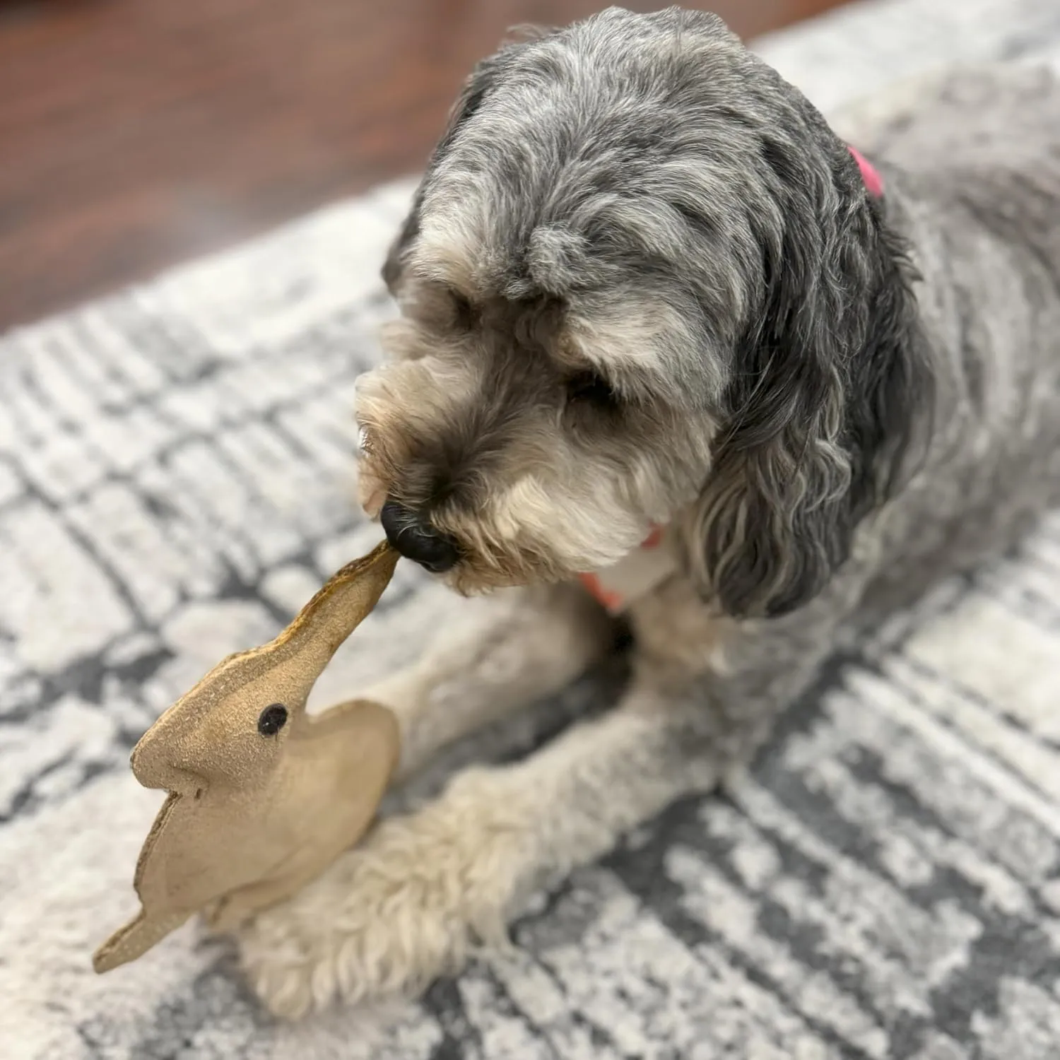 SPOT Dura-Fused Leather Rabbit Dog Toy  Real Leather & Jute, Double-Stitched, Durable Squeaky Chew Toy for Moderate Chewers, Small & Medium Dogs, 7.5in