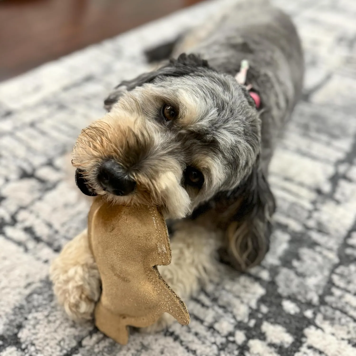 SPOT Dura-Fused Leather Rabbit Dog Toy  Real Leather & Jute, Double-Stitched, Durable Squeaky Chew Toy for Moderate Chewers, Small & Medium Dogs, 7.5in