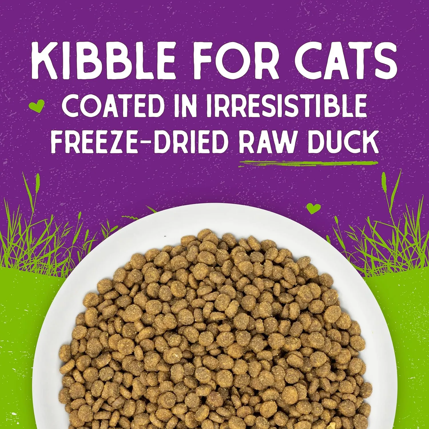 Stella & Chewy's Raw Coated Premium Kibble Cat Food  Grain Free, Protein Rich Meals  Cage-Free Duck Recipe  2.5 lb. Bag