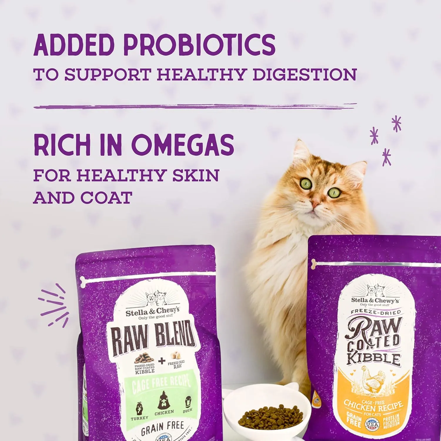 Stella & Chewy's Raw Coated Premium Kibble Cat Food  Grain Free, Protein Rich Meals  Wild Caught Salmon Recipe  2.5 lb. Bag