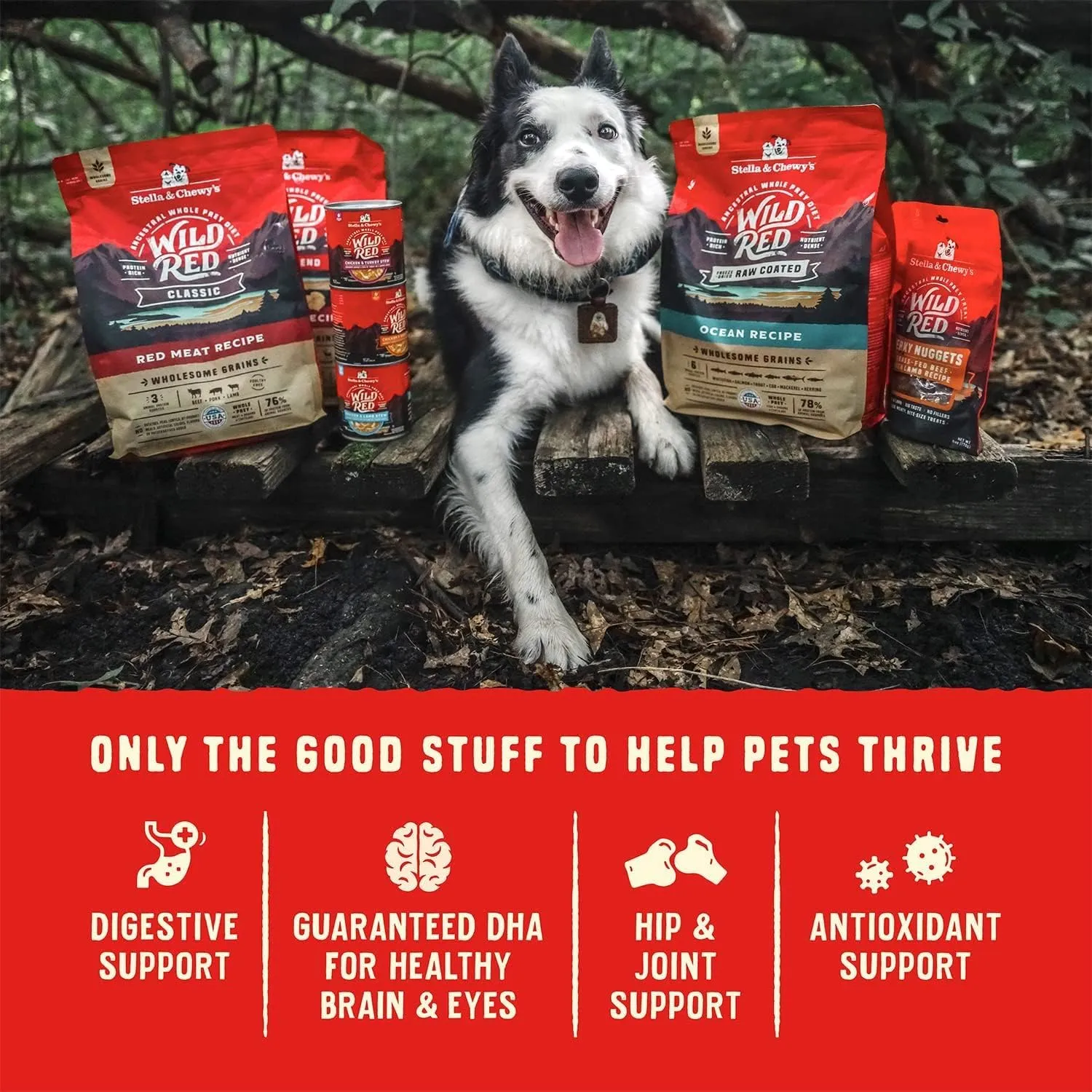 Stella & Chewy's Wild Red Dry Dog Food Raw Coated High Protein Wholesome Grains Puppy Prairie Recipe, 21 lb. Bag