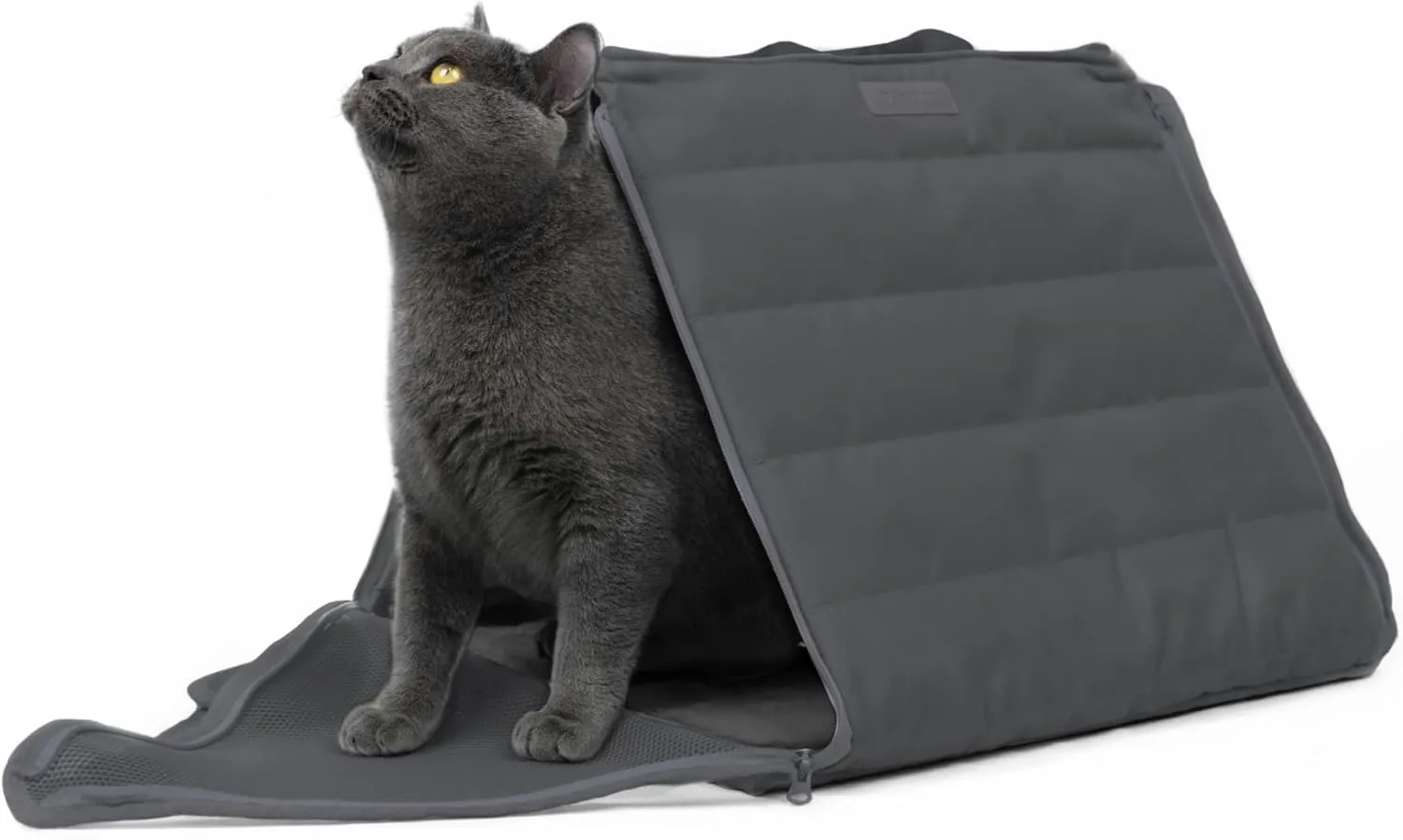 Tent Soft Sided Cat Carrier, Privacy Cat Carrier Mesh Pet Carrier with Inner Leash, Transformable, Portable and Anti-Scratch, with Locking Safety Zipper, Up to 13lbs (Space Gray)
