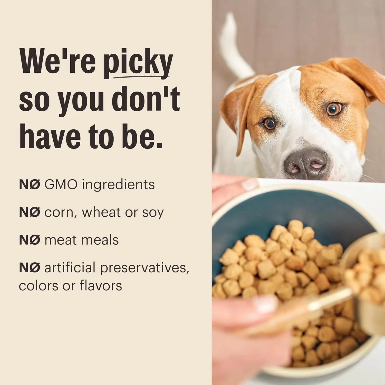 The Honest Kitchen Whole Food Clusters Puppy Grain Free Chicken Dry Dog Food, 1 lb Bag