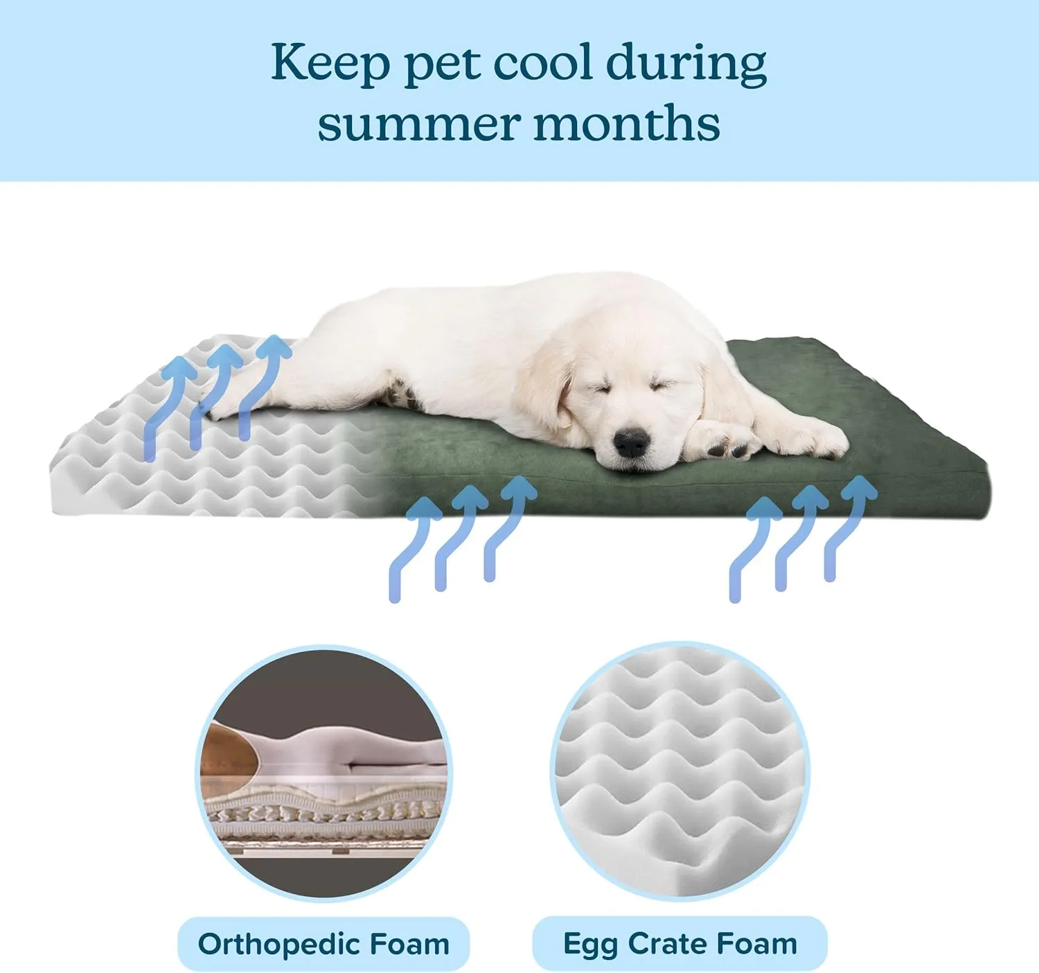 Water-Resistant Dog Bed - Orthopedic Dog Bed with Removable Washable Cover, Non-Slip Bottom, and Egg Crate Style Foam - 25.5in Small Pet Bed - Puppy Essentials by PETMAKER (Green)