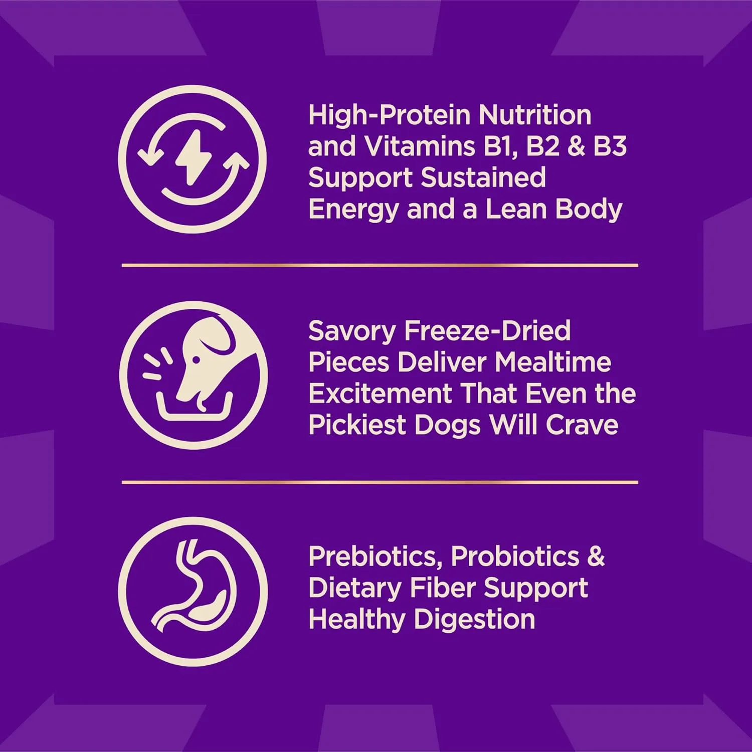 Wellness CORE  (Formerly RawRev) Dry Dog Food with Freeze Dried Pieces, Small Breed, Grain Free, High Protein, Natural, Original Turkey & Chicken Recipe, (4-Pound Bag)