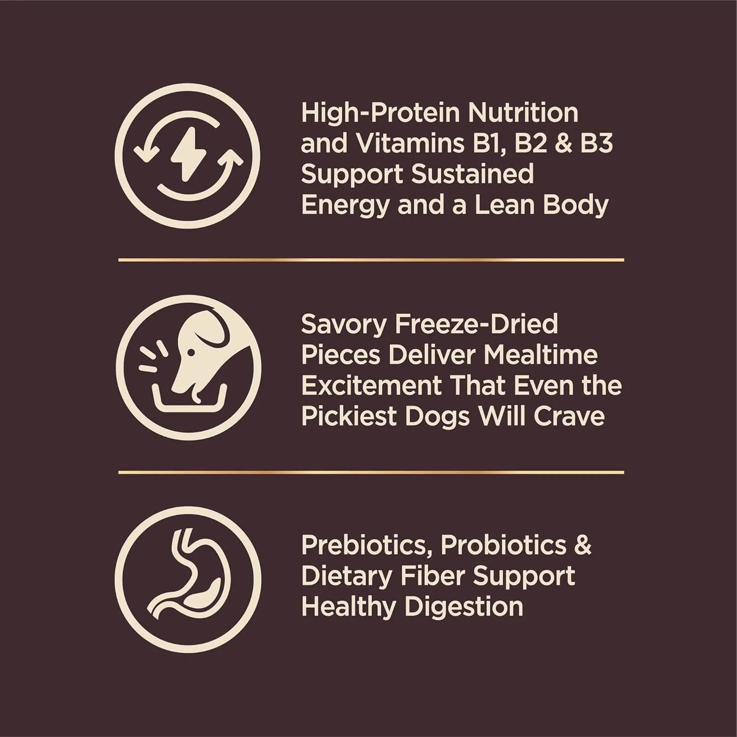 Wellness CORE  (Formerly RawRev) Dry Dog Food with Freeze Dried Pieces, Small Breed, Wholesome Grains, High Protein, Natural, Original Turkey & Chicken Recipe, (4-Pound Bag)