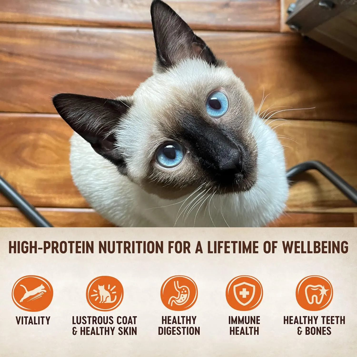 Wellness CORE Signature Selects Chunky Adult Wet Cat Food, Natural, Protein-Rich, Grain Free, 5.3 Ounce, 12 Pack (Chicken & Turkey)
