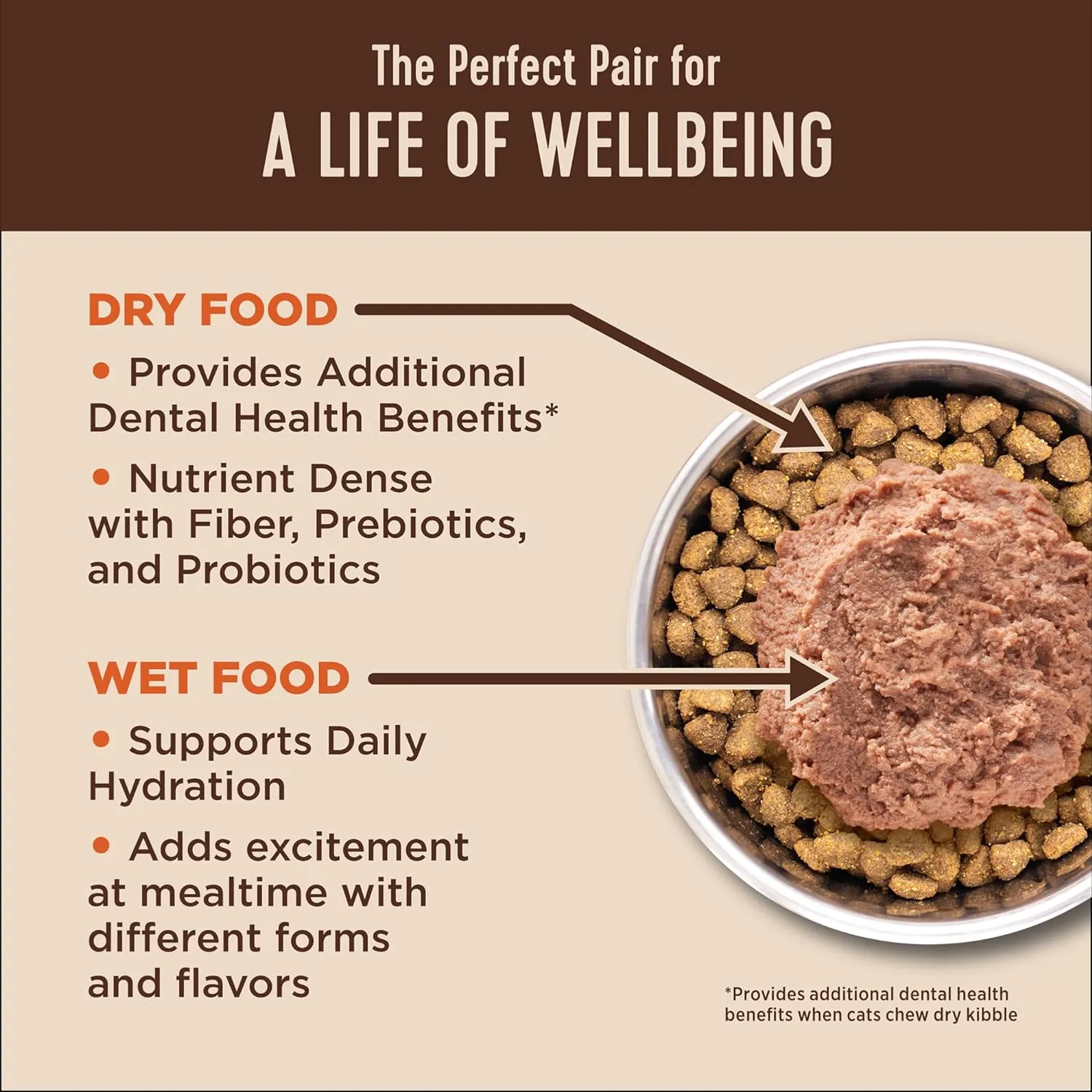 Wellness CORE  Skin & Coat Pate Adult Wet Cat Food, Natural, Protein-Rich, Grain Free, 2.8 Ounce, 12 Pack (Salmon & Sardine)