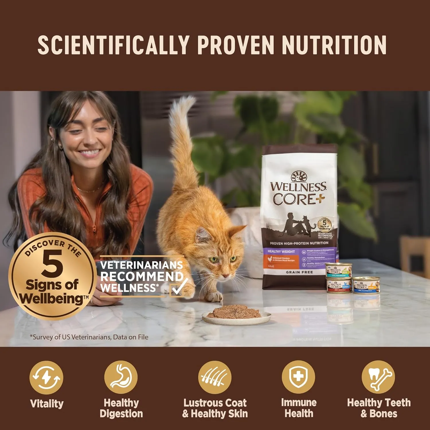 Wellness CORE  Skin & Coat Pate Adult Wet Cat Food, Natural, Protein-Rich, Grain Free, 2.8 Ounce, 12 Pack (Salmon & Sardine)