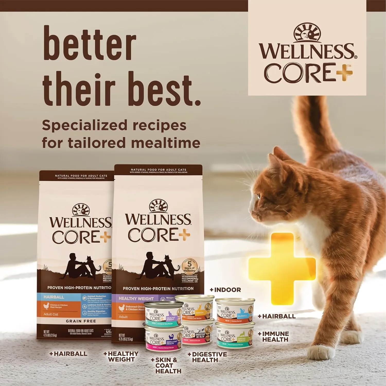 Wellness CORE  Skin & Coat Pate Adult Wet Cat Food, Natural, Protein-Rich, Grain Free, 2.8 Ounce, 12 Pack (Salmon & Sardine)