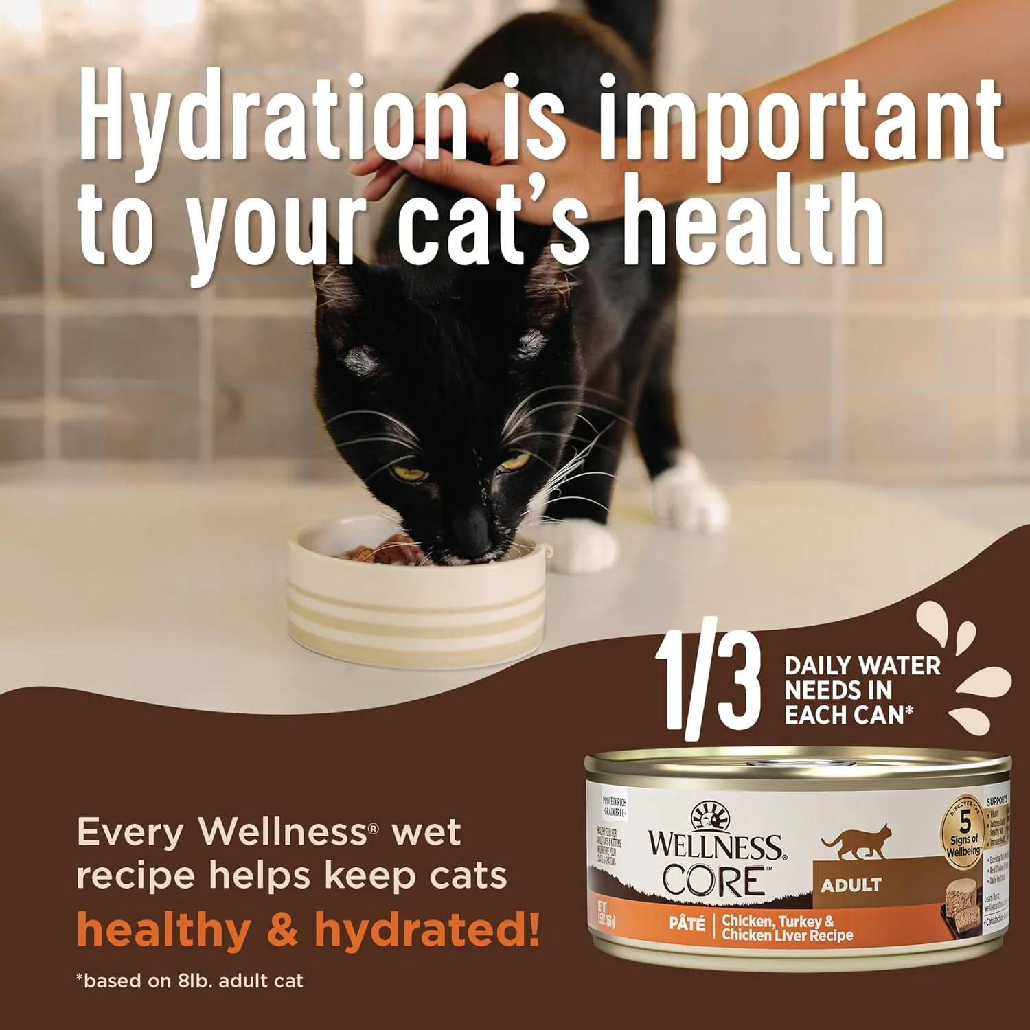 Wellness CORE  Skin & Coat Pate Adult Wet Cat Food, Natural, Protein-Rich, Grain Free, 2.8 Ounce, 12 Pack (Salmon & Sardine)