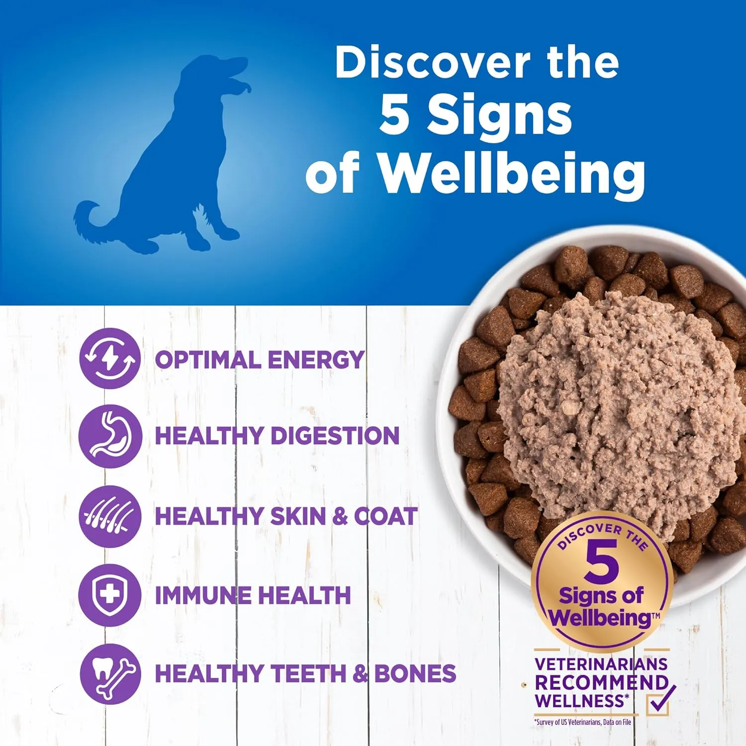 Wellness Simple Natural Wet Canned Limited Ingredient Dog Food, Turkey & Potato, 12.5-Ounce Can (Pack of 12)