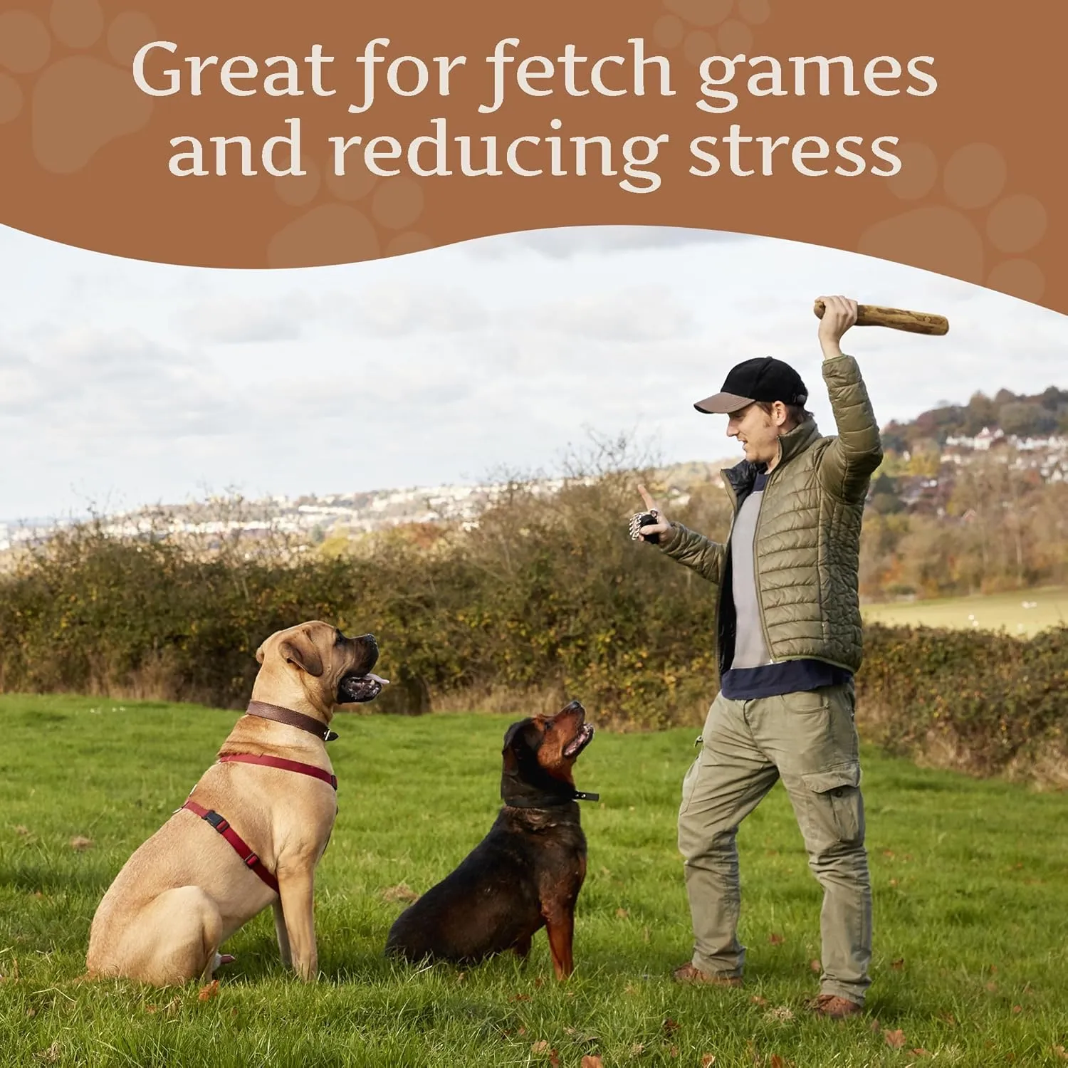 Wildfang Olive Wood Dog Chew Puppy Teething Toys Dog Stick Toy-Long Lasting Natural Chew Toys for Dogs, Root Chews for Dogs, Wooden Dog Chew Stick, Tree Root Dog Bones, Wood Chew for All Dogs-Large