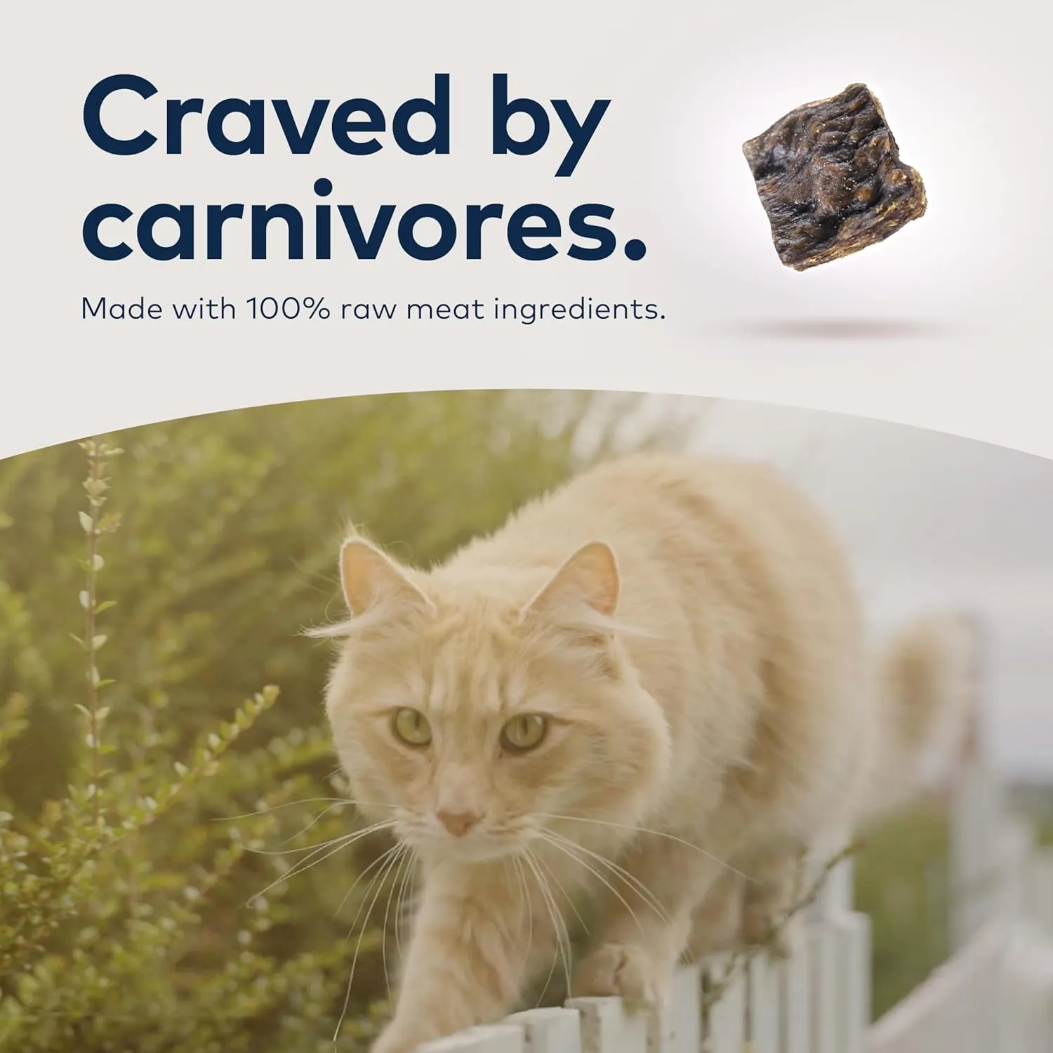 ZIWI Peak Air-Dried Cat Food Bundle High Protein, Grain Free & Limited Ingredient Superfoods (Beef, 14oz   Lamb   Chicken)