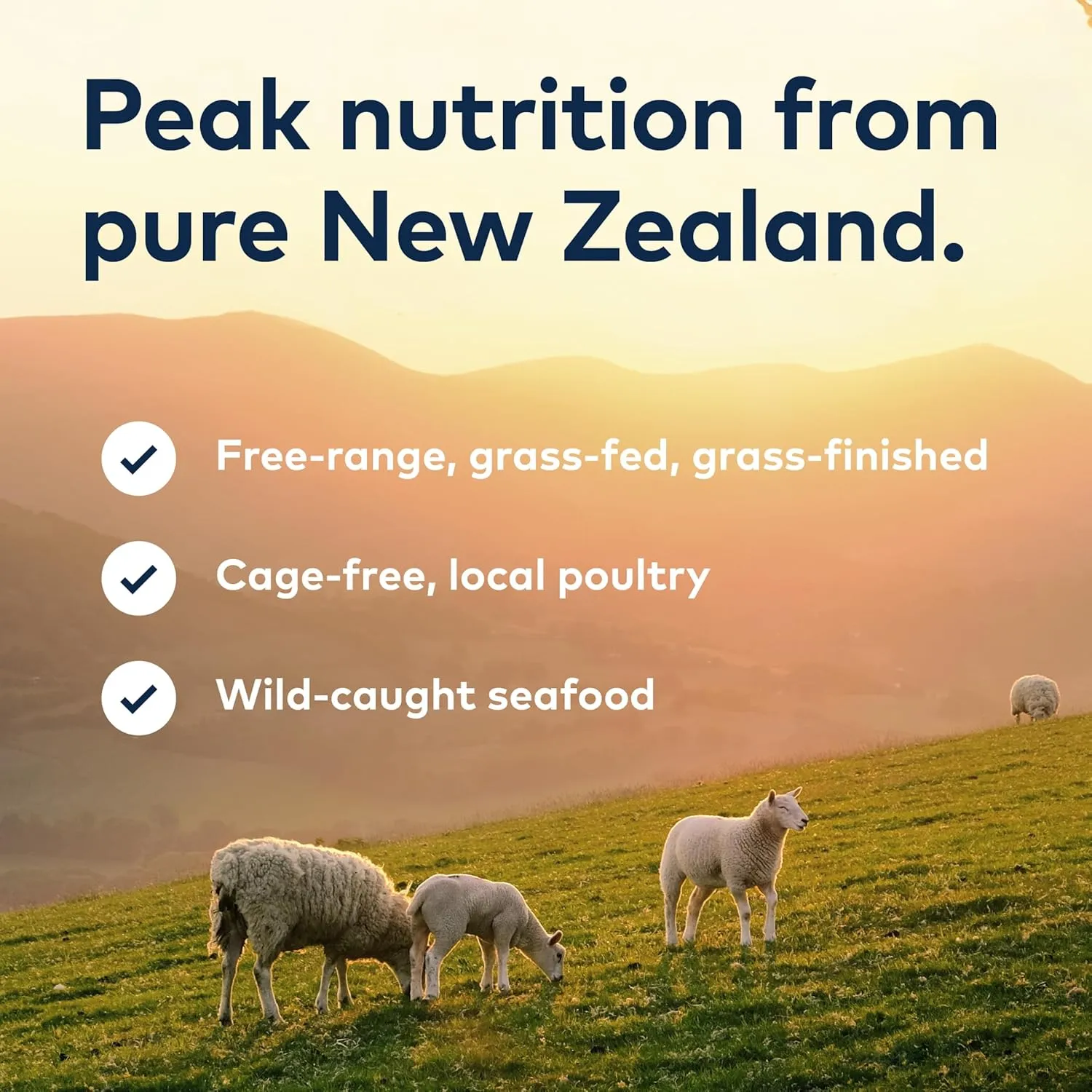 ZIWI Peak Air-Dried Cat Food Bundle High Protein, Grain Free & Limited Ingredient Superfoods (Beef, 14oz   Lamb   Chicken)