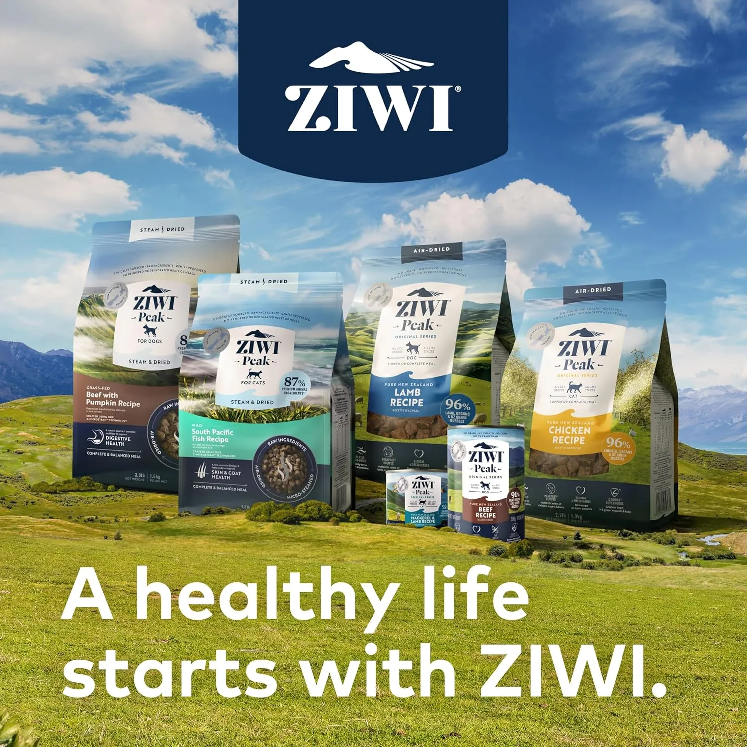ZIWI Peak Air-Dried Cat Food  Chicken - All Natural, High Protein, Grain Free, Limited Ingredient w/ Superfoods (14oz)